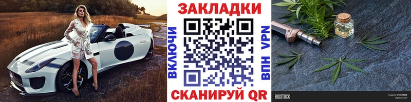 A PVP Кузнецк