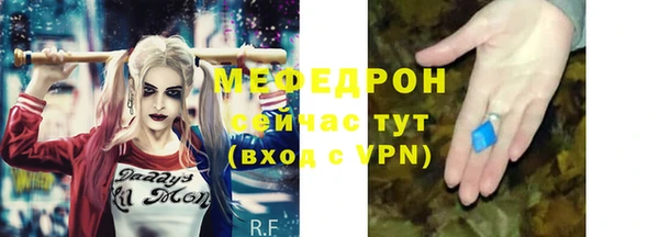 мдпв Верея