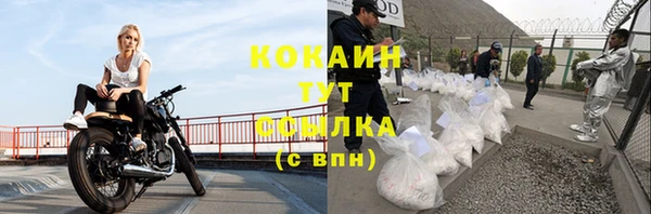 мдпв Верея